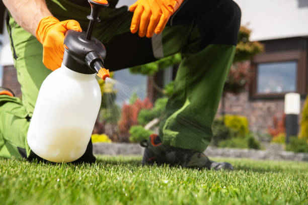 Best Pest Control Near Me in Rathdrum, ID